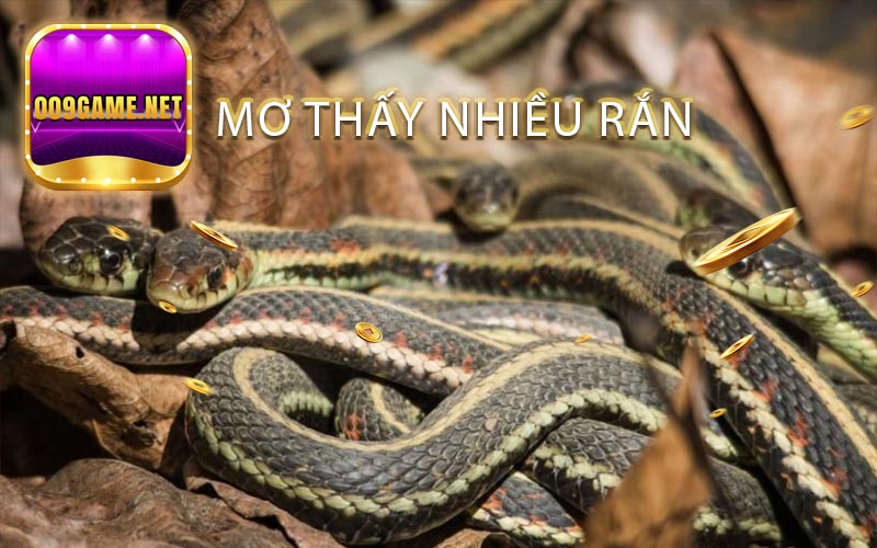 Mơ thấy nhiều rắn 009game